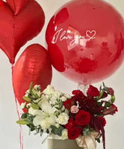 BE LOVE + CHOCKUA + GLOBOS