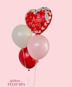 GLOBOS " Feliz Día"